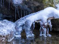 Skurrile Eisformation auf Ast im Bachlauf
